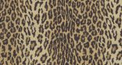 Kano Silk Leopard - Blonde